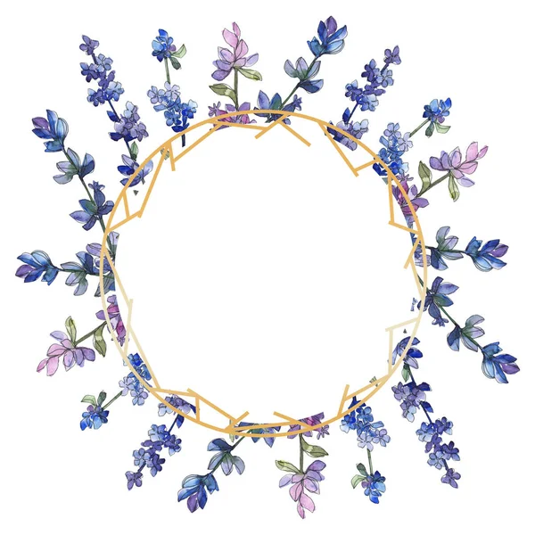 Lavanda roxa. Floral flor botânica. Folha selvagem primavera wildflower isolado. Conjunto de ilustração de fundo aquarela. Aquarelle desenho aquarelle moda isolado. Quadro borda ornamento quadrado . — Fotografia de Stock