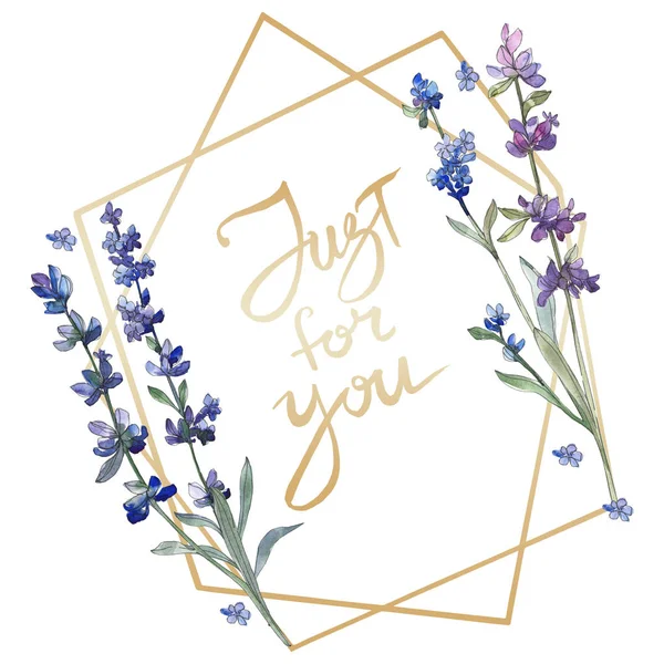 Violettem Lavendel. Blütenbotanische Blume. wildes Frühlingsblatt Wildblume isoliert. Aquarell Hintergrundillustration Set. Aquarellzeichnung Modeaquarell isoliert. Rahmen Rand Ornament Quadrat. — Stockfoto