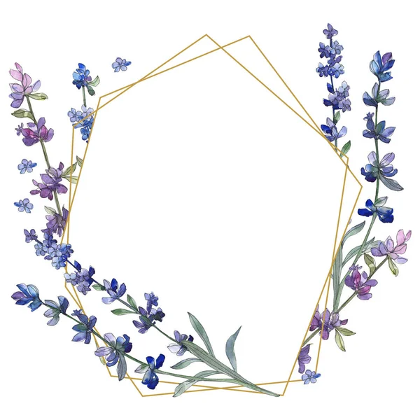 Purple lavender. Floral botanical flower. Wild spring leaf wildflower isolated. Watercolor background illustration set. Watercolour drawing fashion aquarelle isolated. Frame border ornament square. — Stock Photo