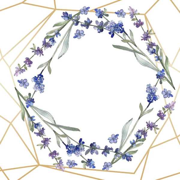 Lavanda púrpura. Flor botánica floral. Flor silvestre de hoja de primavera aislada. Conjunto de ilustración de fondo acuarela. Acuarela dibujo moda acuarela aislado. Marco borde ornamento cuadrado . - foto de stock