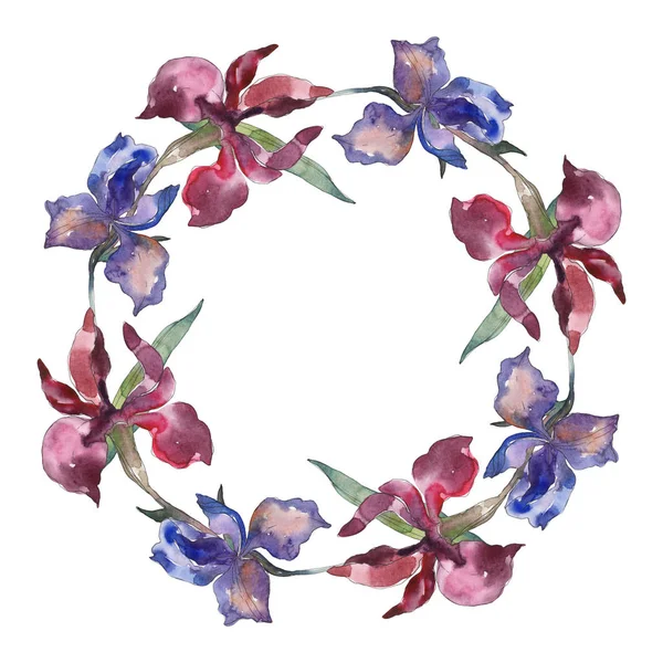 Purplr ahd iris rojos flor botánica floral. Flor silvestre de hoja de primavera. Conjunto de ilustración de fondo acuarela. Acuarela dibujo moda acuarela aislado. Marco borde ornamento cuadrado . - foto de stock