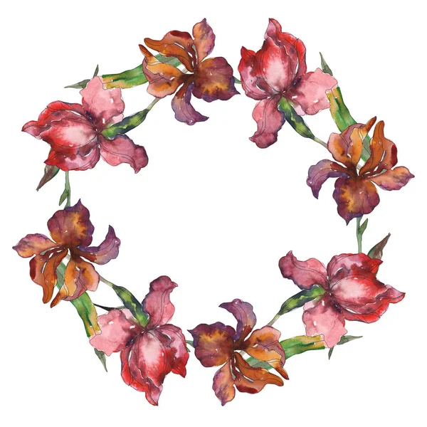 Purplr ahd rosso iris floreale fiore botanico. Fiordaliso selvatico. Acquerello sfondo illustrazione set. Acquerello disegno moda acquerello isolato. Quadrato ornamento bordo cornice . — Foto stock