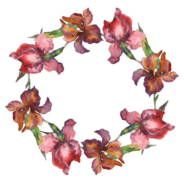 Purplr ahd iris rojos flor botánica floral. Flor silvestre de hoja de primavera. Conjunto de ilustración de fondo acuarela. Acuarela dibujo moda acuarela aislado. Marco borde ornamento cuadrado . - foto de stock