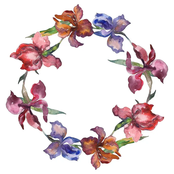 Purplr ahd íris vermelhas flor botânica floral. Folha selvagem da primavera wildflower. Conjunto de ilustração de fundo aquarela. Aquarelle desenho aquarelle moda isolado. Quadro borda ornamento quadrado . — Fotografia de Stock