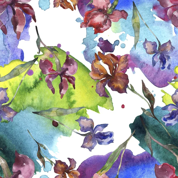 Purplr ahd rote Schwertlilien blühen. wilde Frühlingsblume. Aquarell-Illustrationsset vorhanden. Aquarellzeichnung Modeaquarell isoliert. nahtlose Hintergrundmuster. Stoff Tapete drucken Textur. — Stockfoto