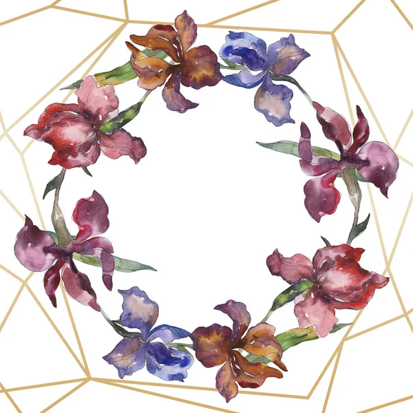 Purplr ahd rosso iris floreale fiore botanico. Fiordaliso selvatico. Acquerello sfondo illustrazione set. Acquerello disegno moda acquerello isolato. Quadrato ornamento bordo cornice . — Foto stock