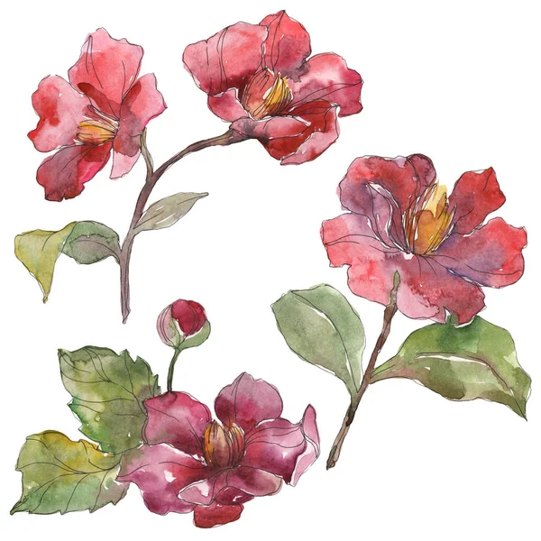 Pivoines rouges isolées sur fond aquarelle blanc illustration ensemble . — Photo de stock