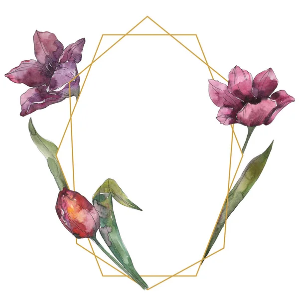 Flor tulipa roxa flores botânicas florais. Folha selvagem primavera wildflower isolado. Conjunto de ilustração de fundo aquarela. Aquarelle desenho aquarelle moda isolado. Quadro borda ornamento quadrado . — Fotografia de Stock