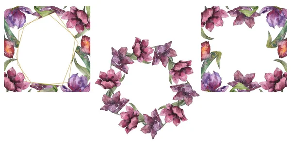 Tulipán púrpura flores botánicas florales. Flor silvestre de hoja de primavera aislada. Conjunto de ilustración de fondo acuarela. Acuarela dibujo moda acuarela aislado. Marco borde ornamento cuadrado . - foto de stock