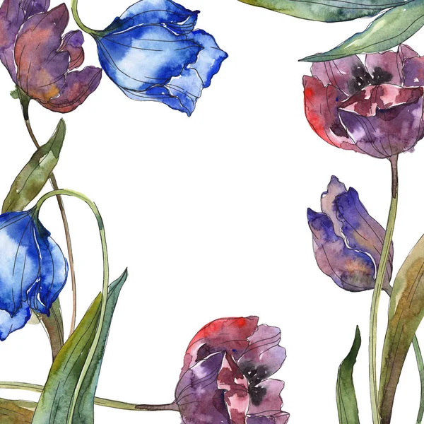 Tulipanes púrpura y azul conjunto de ilustración de fondo acuarela. Marco ornamento borde con espacio de copia . - foto de stock