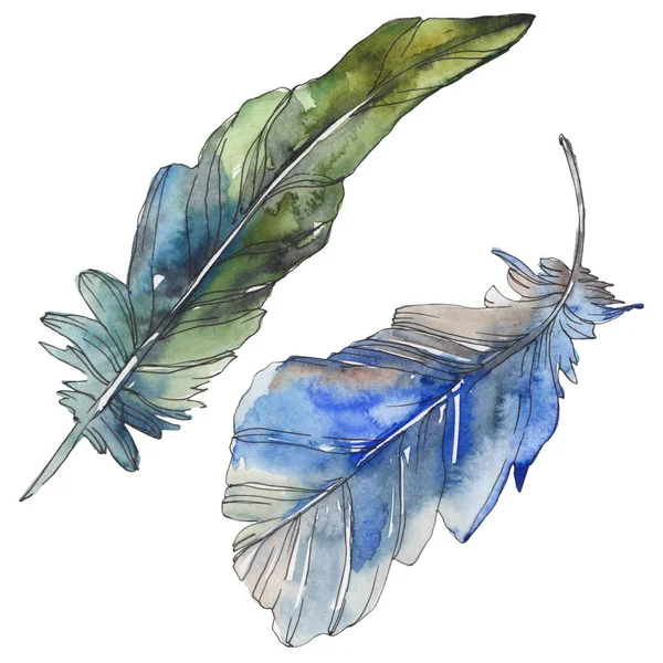 Plume d'oiseau de l'aile isolée. Ensemble d'illustration de fond aquarelle. Aquarelle dessin mode aquarelle isolé. Élément d'illustration de plumes isolées . — Photo de stock