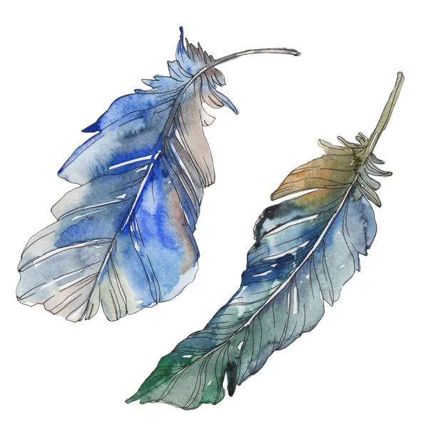 Pluma de pájaro de ala aislada. Conjunto de ilustración de fondo acuarela. Acuarela dibujo moda acuarela aislado. Elemento ilustrativo plumas aisladas . - foto de stock