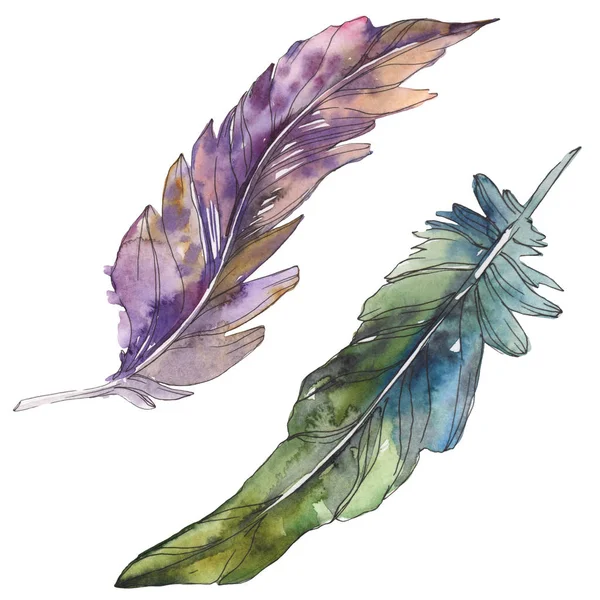 Bird feather from wing isolated. Watercolor background illustration set. Watercolour drawing fashion aquarelle isolated. Isolated feathers illustration element. — Stock Photo