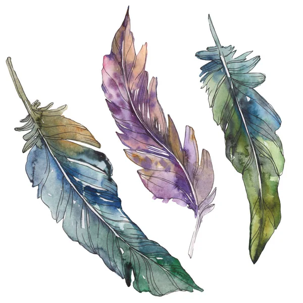 Bird feather from wing isolated. Watercolor background illustration set. Watercolour drawing fashion aquarelle isolated. Isolated feathers illustration element. — Stock Photo