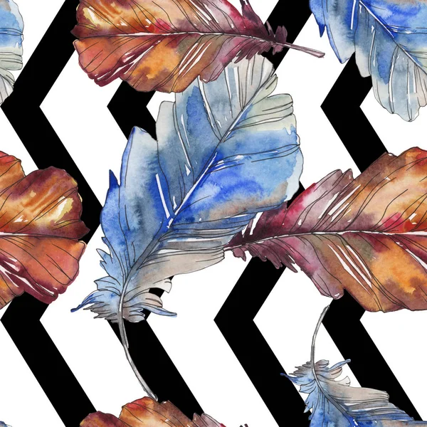 Pluma de pájaro de ala aislada. Conjunto de ilustración de fondo acuarela. Acuarela dibujo moda acuarela aislado. Patrón de fondo sin costuras. Textura de impresión de papel pintado de tela . — Stock Photo