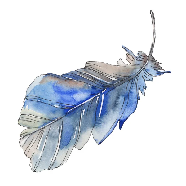 Bird feather from wing isolated. Watercolor background illustration set. Watercolour drawing fashion aquarelle isolated. Isolated feather illustration element. — Stock Photo