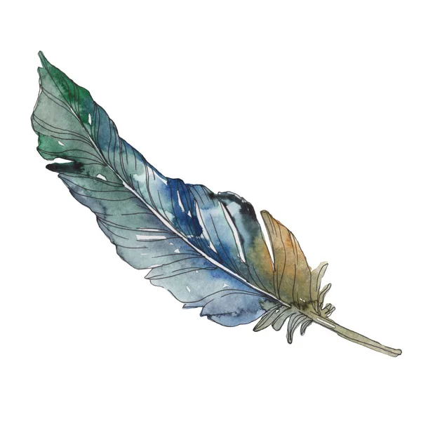 Bird feather from wing isolated. Watercolor background illustration set. Watercolour drawing fashion aquarelle isolated. Isolated feather illustration element. — Stock Photo