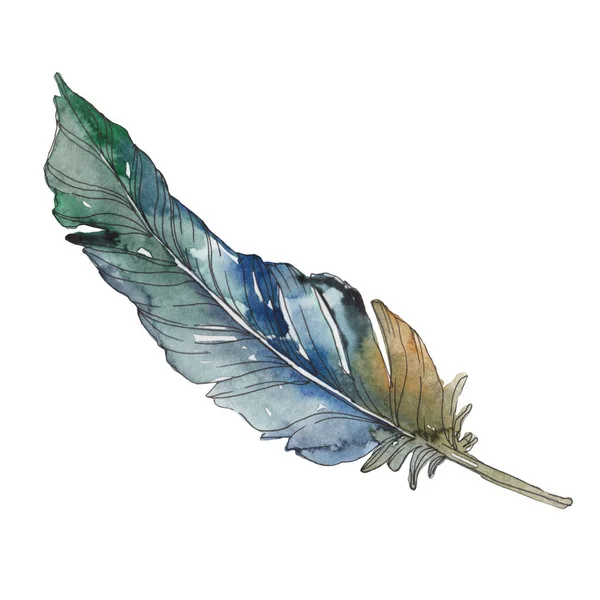 Plume d'oiseau de l'aile isolée. Ensemble d'illustration de fond aquarelle. Aquarelle dessin mode aquarelle isolé. Élément isolé d'illustration de plumes . — Photo de stock