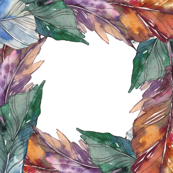 Птичье перо из крыла изолировано. Набор акварельных фонов. Акварель акварель акварель изолирована. Граничный орнамент . — стоковое фото