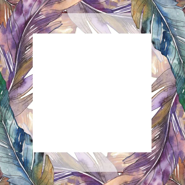 Bird feather from wing isolated. Watercolor background illustration set. Watercolour drawing fashion aquarelle isolated. Frame border ornament square. — Stock Photo