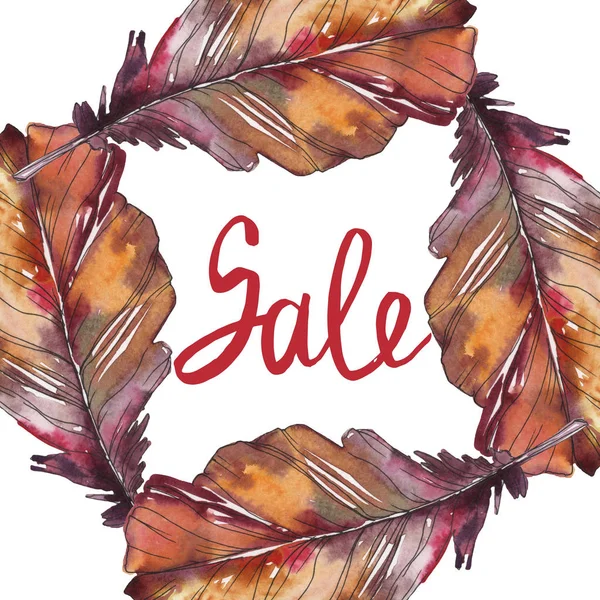 Bird feather from wing isolated. Watercolor background illustration set. Watercolour drawing fashion aquarelle isolated. Frame border ornament square. — Stock Photo