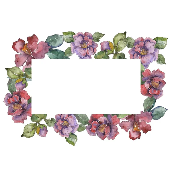 Flores de camélia vermelhas e roxas. Conjunto de ilustração de fundo aquarela. Ornamento de borda de quadro com espaço de cópia . — Fotografia de Stock