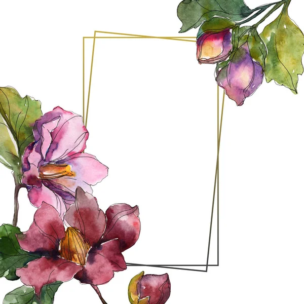 Червоні та фіолетові квіти камелії. Набір ілюстрацій для акварельного фону. Прикраса рамки з пробілом для копіювання . — стокове фото