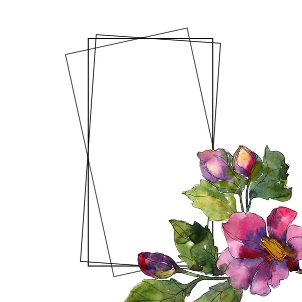 Червоні та фіолетові квіти камелії. Набір ілюстрацій для акварельного фону. Прикраса рамки з пробілом для копіювання . — стокове фото