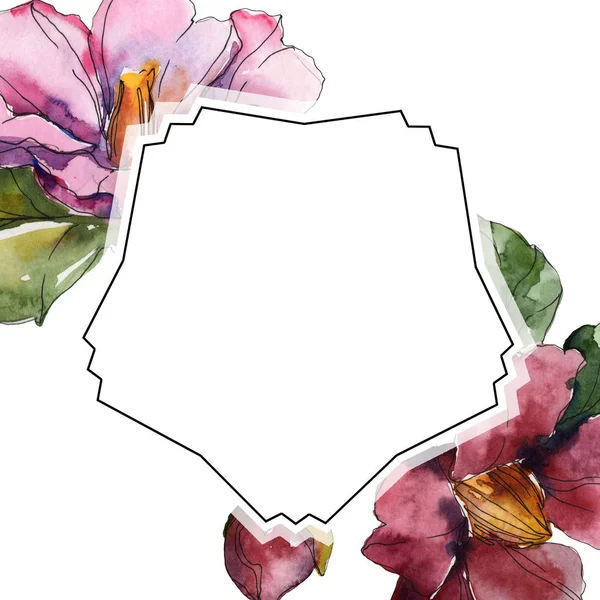 Fleurs de camélia rouge et violet. Ensemble d'illustration de fond aquarelle. Cadre bordure ornement avec espace de copie . — Photo de stock