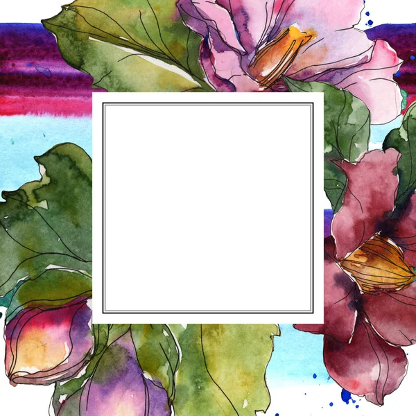 Fleurs de camélia rouge et violet. Ensemble d'illustration de fond aquarelle. Cadre bordure ornement avec espace de copie . — Photo de stock