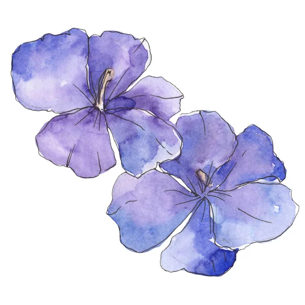 Blue purple flax. Floral botanical flower. Wild spring leaf wildflower isolated. Watercolor background illustration set. Watercolour drawing fashion aquarelle. Isolated flax illustration element. — Stock Photo