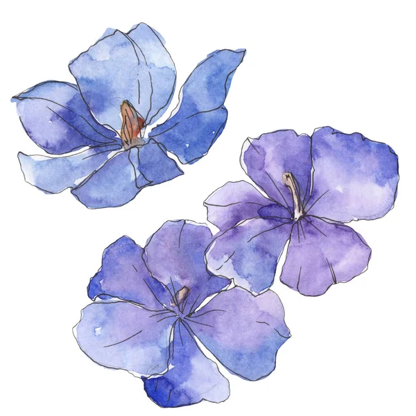 Du lin bleu violet. Fleur botanique florale. Feuille sauvage de printemps fleur sauvage isolée. Ensemble d'illustration de fond aquarelle. Aquarelle dessin mode aquarelle. Élément d'illustration isolé en lin . — Photo de stock