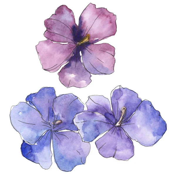 Lino viola blu. Fiore botanico floreale. Fiore selvatico primaverile isolato. Acquerello sfondo illustrazione set. Acquerello disegno moda acquerello. Elemento di illustrazione del lino isolato . — Foto stock