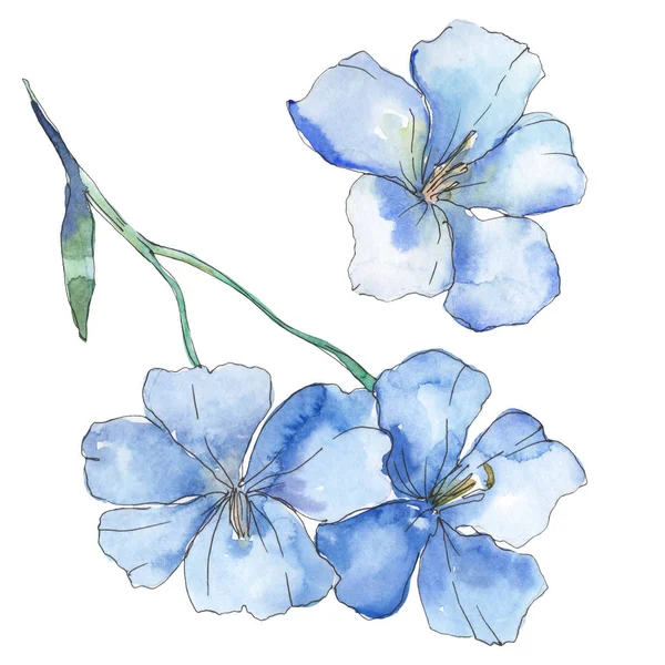 Du lin bleu violet. Fleur botanique florale. Feuille sauvage de printemps fleur sauvage isolée. Ensemble d'illustration de fond aquarelle. Aquarelle dessin mode aquarelle. Élément d'illustration isolé en lin . — Photo de stock