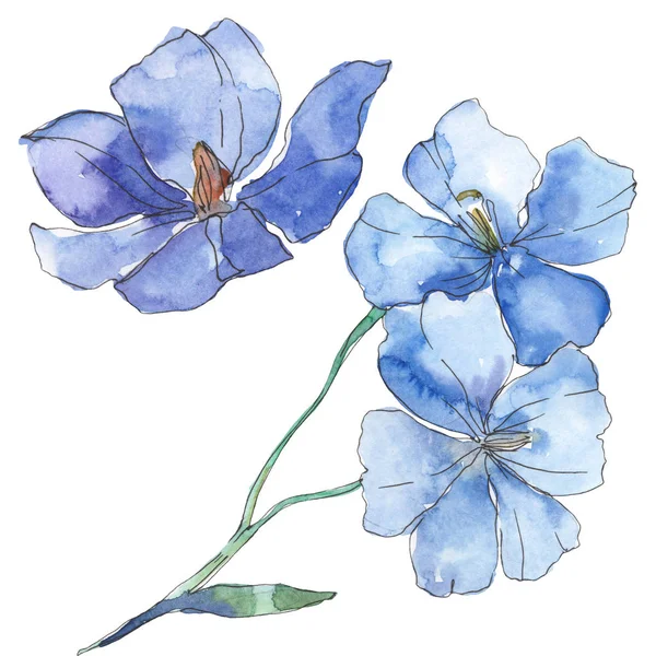 Lino azul púrpura. Flor botánica floral. Flor silvestre de hoja de primavera aislada. Conjunto de ilustración de fondo acuarela. Acuarela dibujo moda aquarelle. Elemento aislado de ilustración de lino . - foto de stock