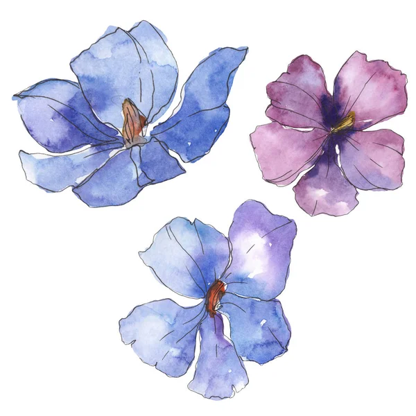 Linho púrpura azul. Floral flor botânica. Folha selvagem primavera wildflower isolado. Conjunto de ilustração de fundo aquarela. Aquarelle desenho aquarelle moda. Elemento de ilustração isolado do linho . — Fotografia de Stock