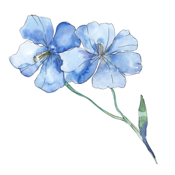 Linho púrpura azul. Floral flor botânica. Folha selvagem primavera wildflower isolado. Conjunto de ilustração de fundo aquarela. Aquarelle desenho aquarelle moda. Elemento de ilustração isolado do linho . — Fotografia de Stock