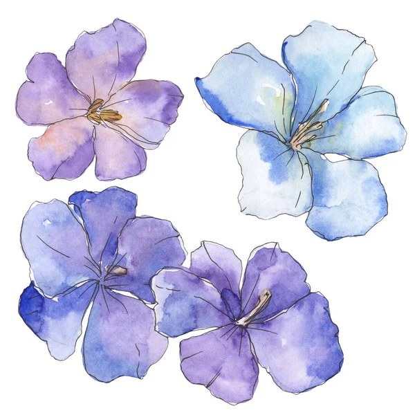 Du lin bleu violet. Fleur botanique florale. Feuille sauvage de printemps fleur sauvage isolée. Ensemble d'illustration de fond aquarelle. Aquarelle dessin mode aquarelle. Élément d'illustration isolé en lin . — Photo de stock