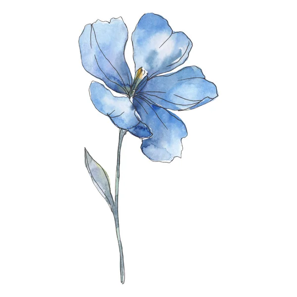 Linho púrpura azul. Floral flor botânica. Folha selvagem primavera wildflower isolado. Conjunto de ilustração de fundo aquarela. Aquarelle desenho aquarelle moda. Elemento de ilustração isolado do linho . — Fotografia de Stock