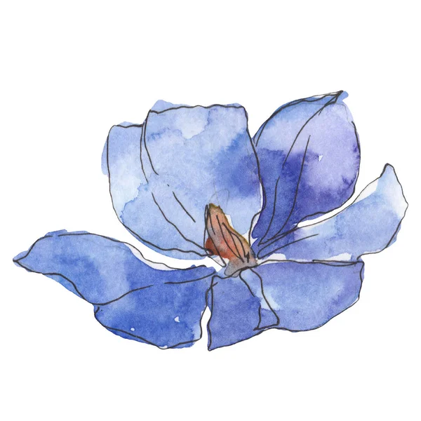 Blue purple flax. Floral botanical flower. Wild spring leaf wildflower isolated. Watercolor background illustration set. Watercolour drawing fashion aquarelle. Isolated flax illustration element. — Stock Photo