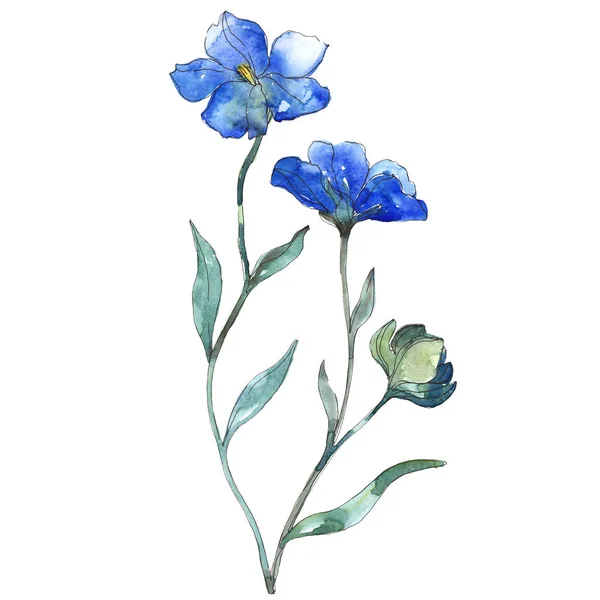 Fleur botanique florale de lin violet bleu. Feuille sauvage de printemps fleur sauvage isolée. Ensemble d'illustration de fond aquarelle. Aquarelle dessin mode aquarelle. Élément d'illustration isolé en lin . — Photo de stock