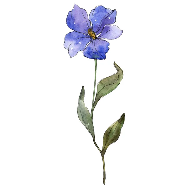 Синя фіолетова льонова квіткова ботанічна квітка. Дикий весняний лист ізольований. Набір ілюстрацій для акварельного фону. Акварель для акварелі. Ізольований елемент ілюстрації льону . — стокове фото