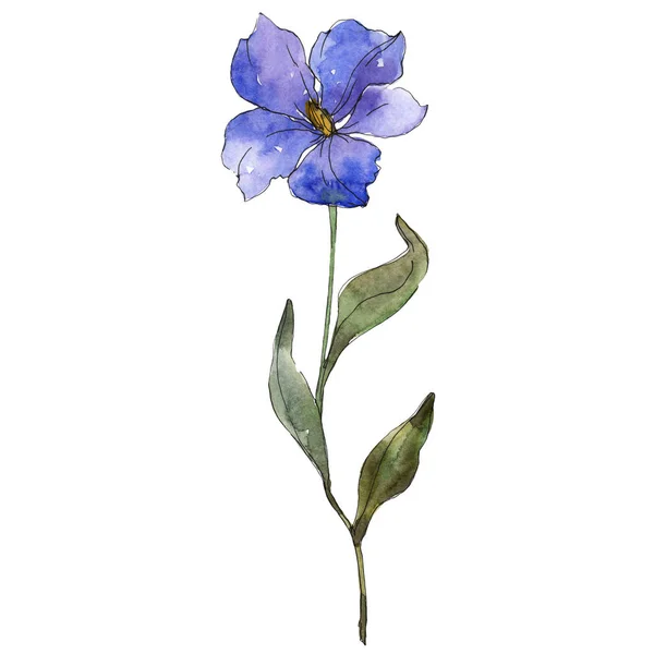 Blau lila Flachs Blumen botanische Blume. wildes Frühlingsblatt Wildblume isoliert. Aquarell Hintergrundillustration Set. Aquarell zeichnen Mode-Aquarell. isoliertes Flachs-Illustrationselement. — Stockfoto