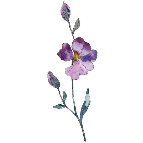 Синя фіолетова льонова квіткова ботанічна квітка. Дикий весняний лист ізольований. Набір ілюстрацій для акварельного фону. Акварель для акварелі. Ізольований елемент ілюстрації льону . — стокове фото