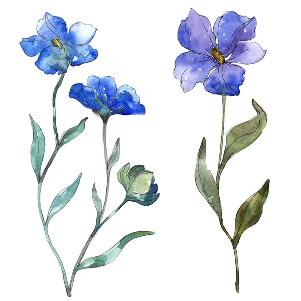 Blue purple flax floral botanical flower. Wild spring leaf wildflower isolated. Watercolor background illustration set. Watercolour drawing fashion aquarelle. Isolated flax illustration element. — Stock Photo