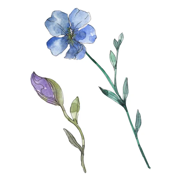 Синьо-фіолетова льонова квіткова ботанічна квітка. Дикий весняний лист ізольований. Набір ілюстрацій для акварельного фону. Акварель для акварелі. Ізольований елемент ілюстрації льону . — стокове фото