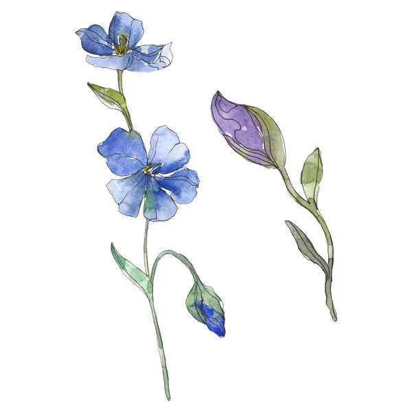 Flor botânica floral de linho azul e roxo. Folha selvagem primavera wildflower isolado. Conjunto de ilustração de fundo aquarela. Aquarelle desenho aquarelle moda. Elemento de ilustração isolado do linho . — Fotografia de Stock