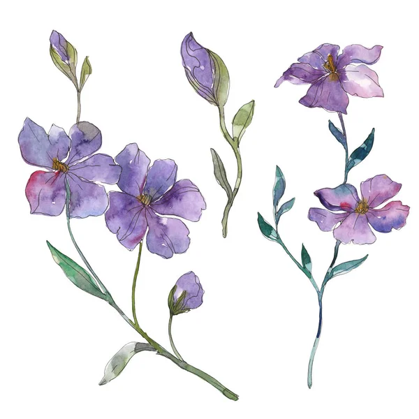 Fleur botanique florale de lin bleu et violet. Feuille sauvage de printemps fleur sauvage isolée. Ensemble d'illustration de fond aquarelle. Aquarelle dessin mode aquarelle. Élément d'illustration isolé en lin . — Photo de stock