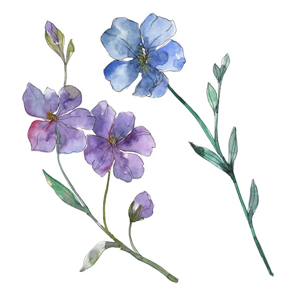 Fleur botanique florale de lin bleu et violet. Feuille sauvage de printemps fleur sauvage isolée. Ensemble d'illustration de fond aquarelle. Aquarelle dessin mode aquarelle. Élément d'illustration isolé en lin . — Photo de stock