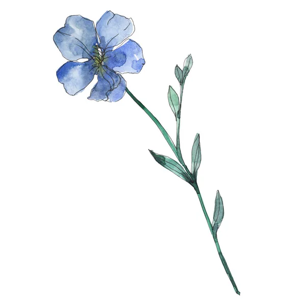 Blue and purple flax floral botanical flower. Wild spring leaf wildflower isolated. Watercolor background illustration set. Watercolour drawing fashion aquarelle. Isolated flax illustration element. — Stock Photo